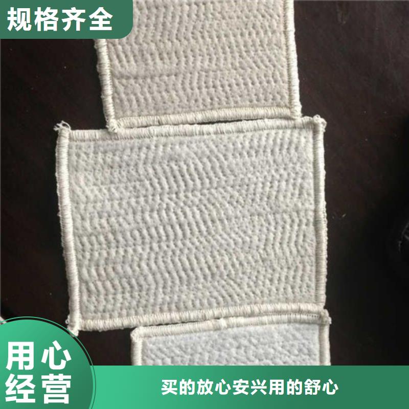 防水毯_钠基膨润土防水毯货源报价