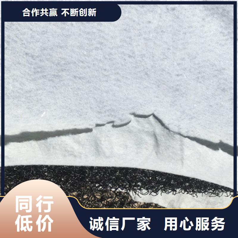 三维植被网三维土工网垫厂家