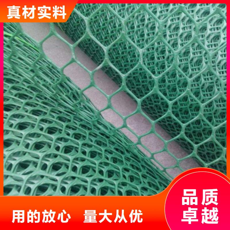 三维植被网土工网垫定制销售售后为一体