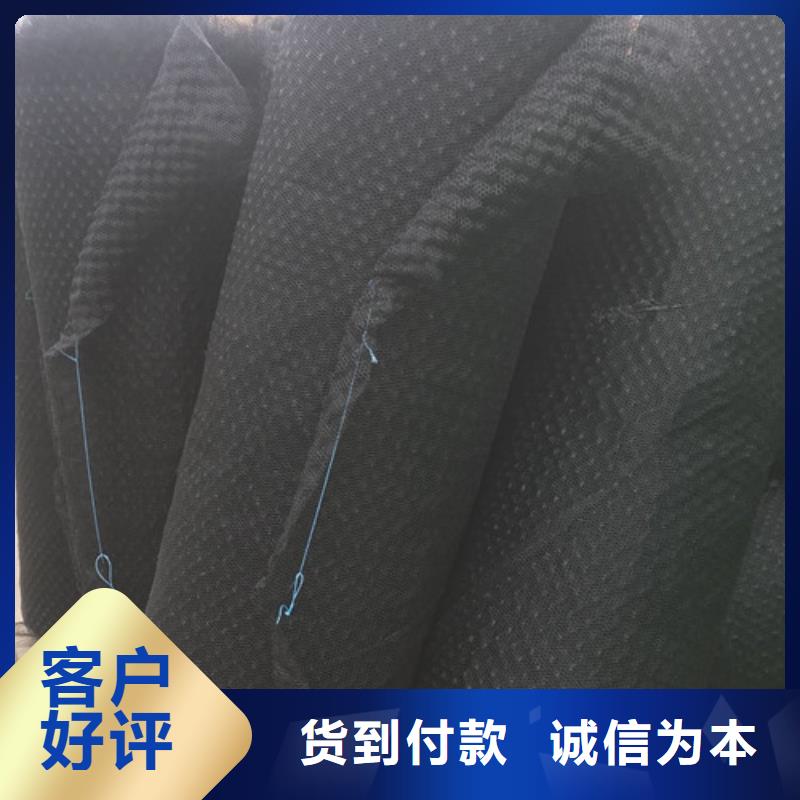 三维植被网加筋麦克垫实时报价