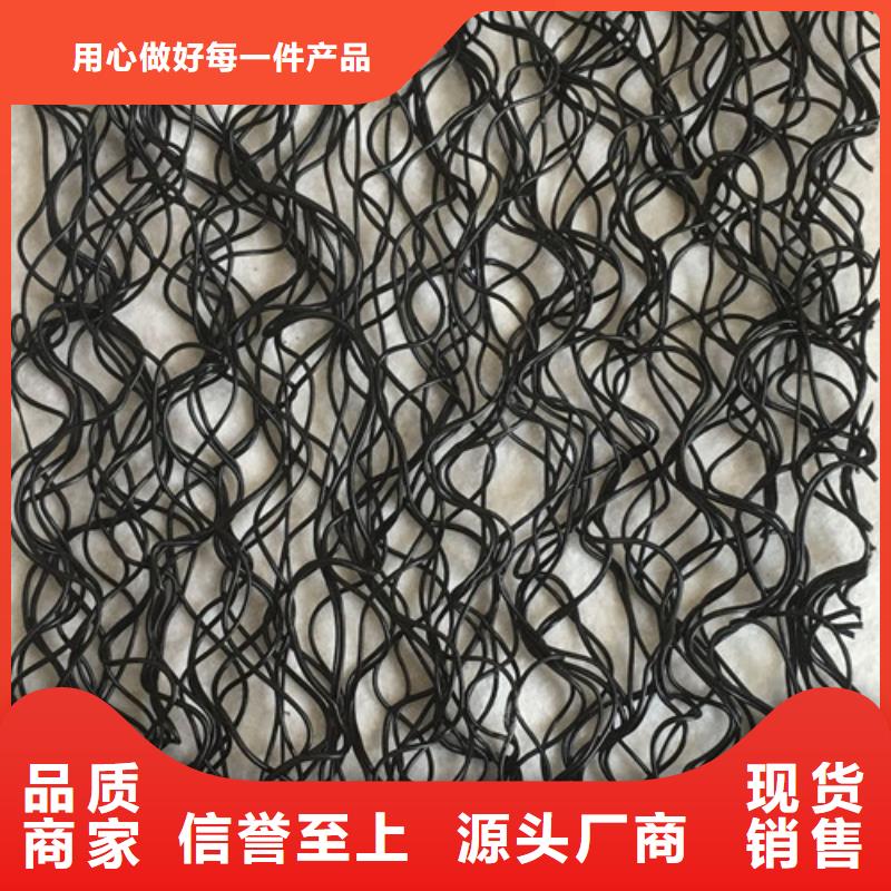 三维植被网三维土工网垫做工精细