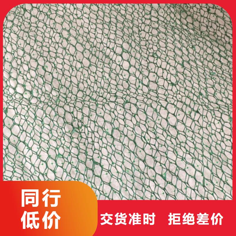 三维植被网土工网垫质量不佳尽管来找我