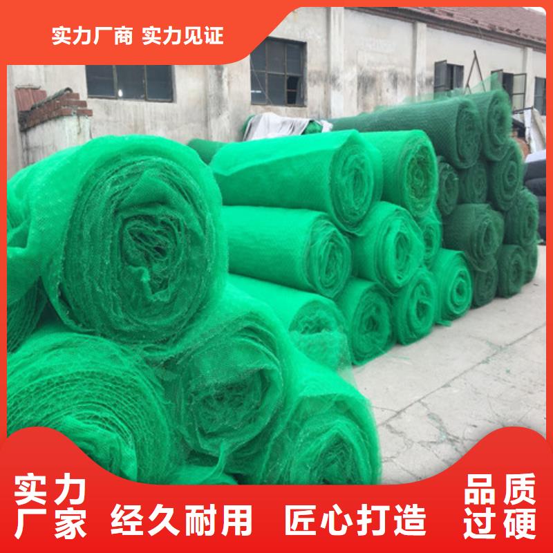 三维植被网土工网厂家新品