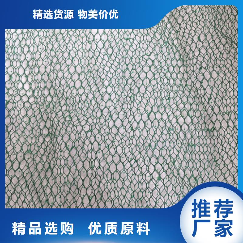 三维植被网三维植被网垫好厂家有担当