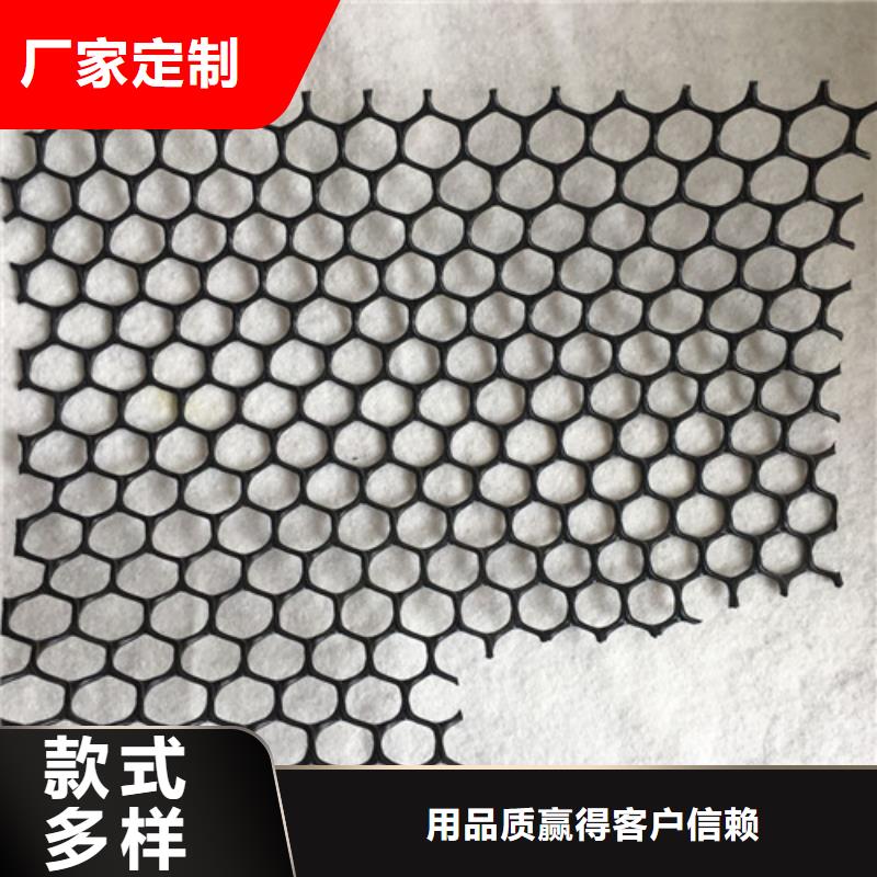 三维植被网三维植被网垫好厂家有担当