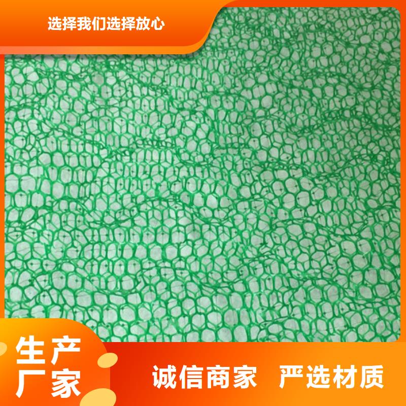 三维植被网三维土工网垫直销厂家