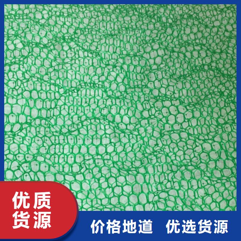 三维植被网土工网厂家新品