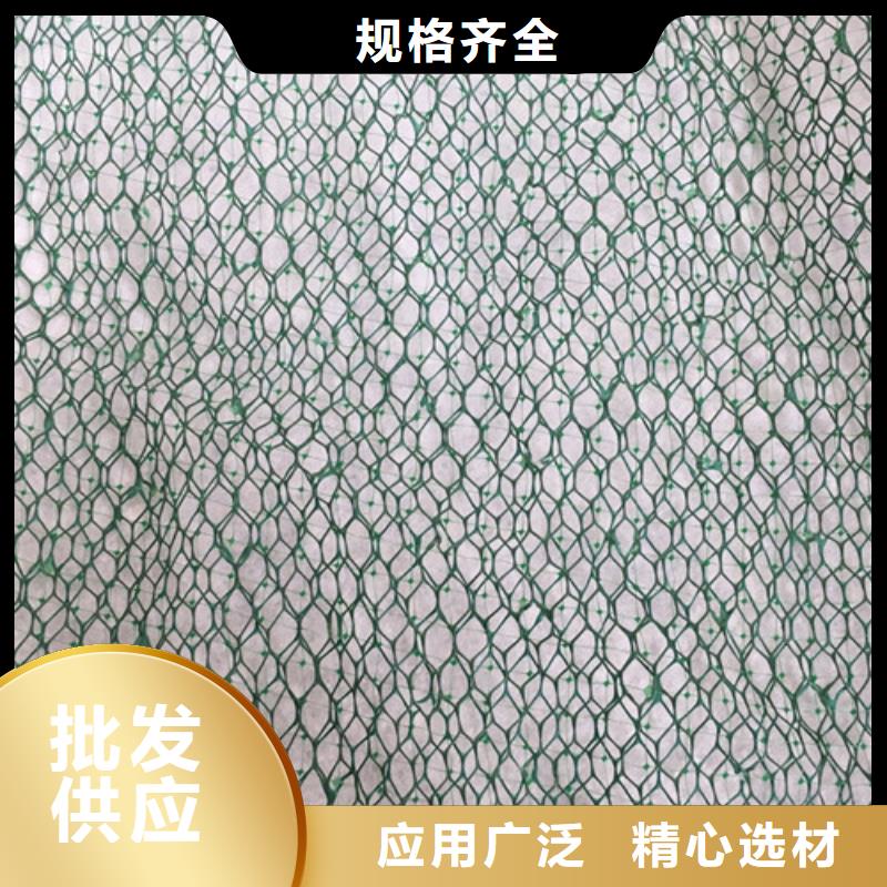 三维植被网,三维植被网垫量大从优