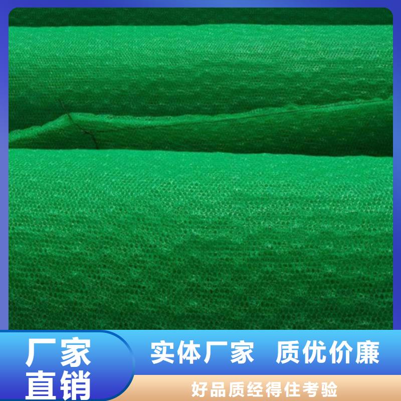 三维植被网三维土工网垫专业生产团队