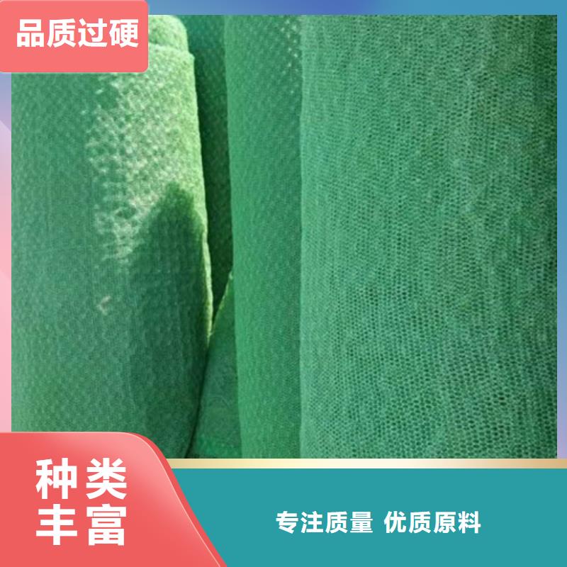 三维植被网_土工网定制批发