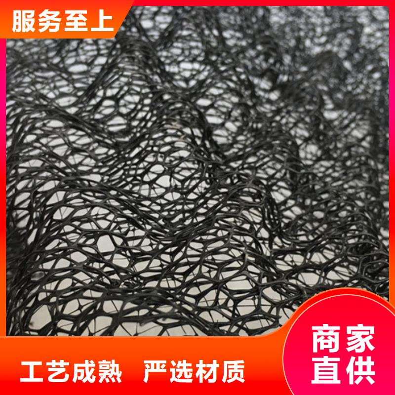 三维植被网-土工网垫精挑细选好货