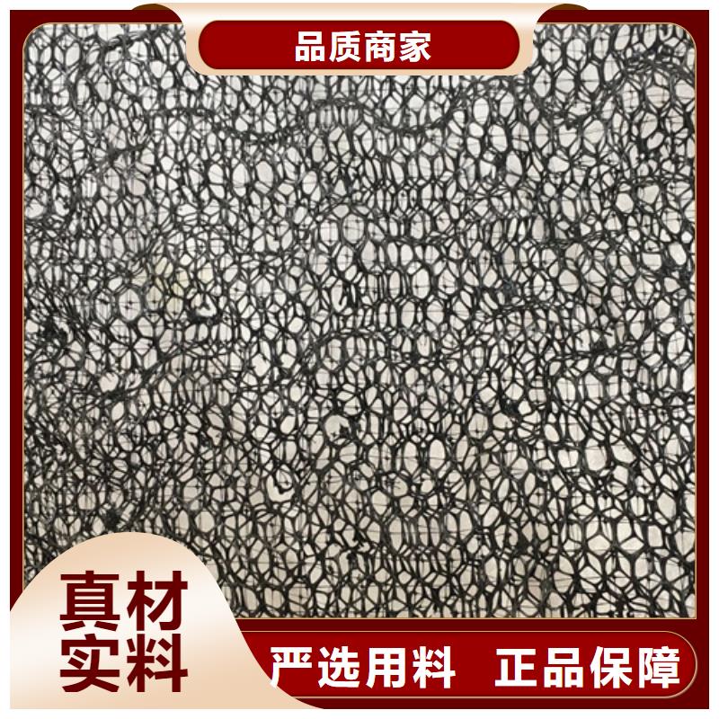 三维植被网-土工网垫精挑细选好货