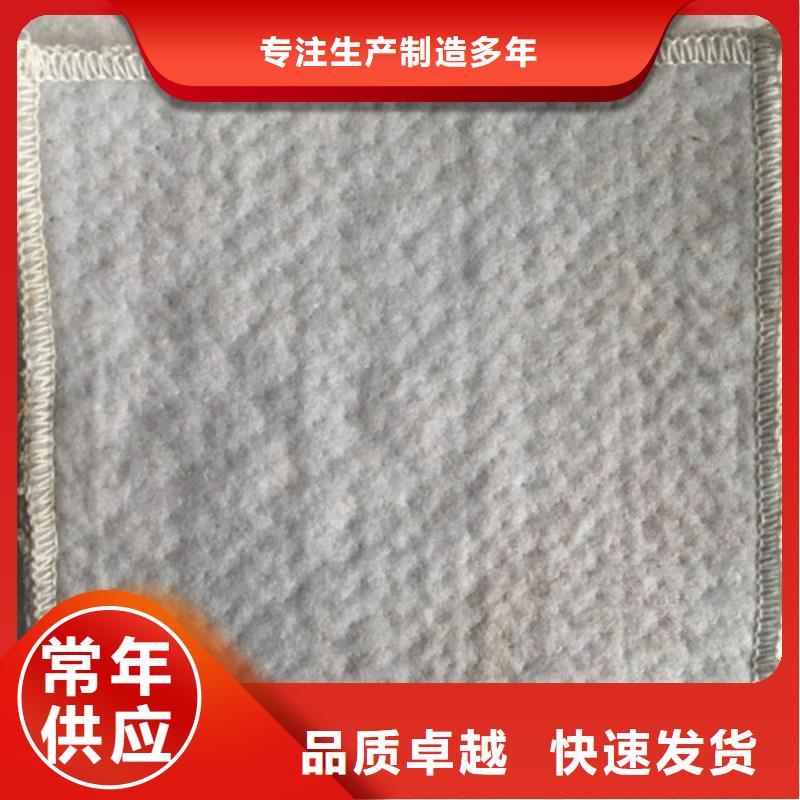 防水毯GCL防水毯垫专业按需定制