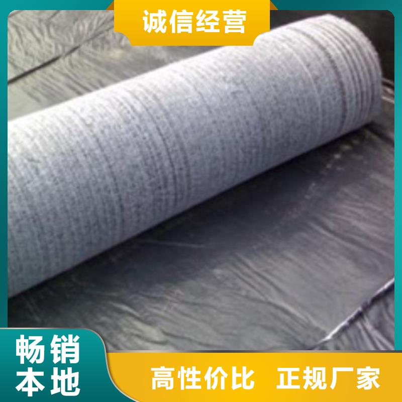 防水毯钠基膨润土防水毯工程施工案例