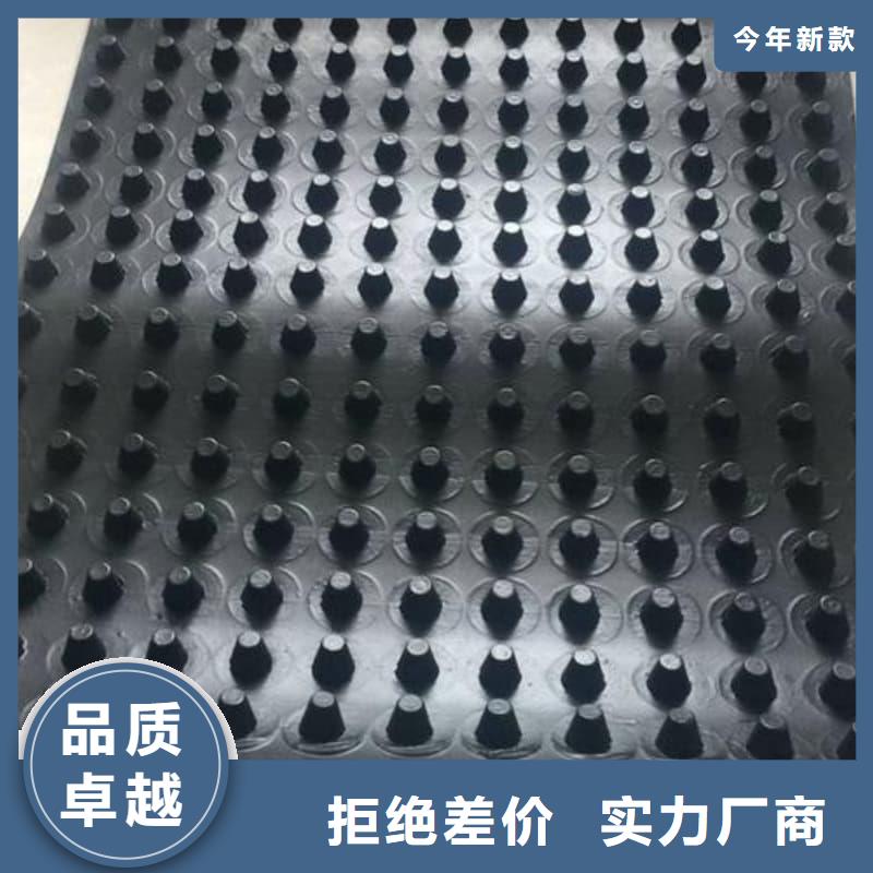 排水板排水板厂家货真价实