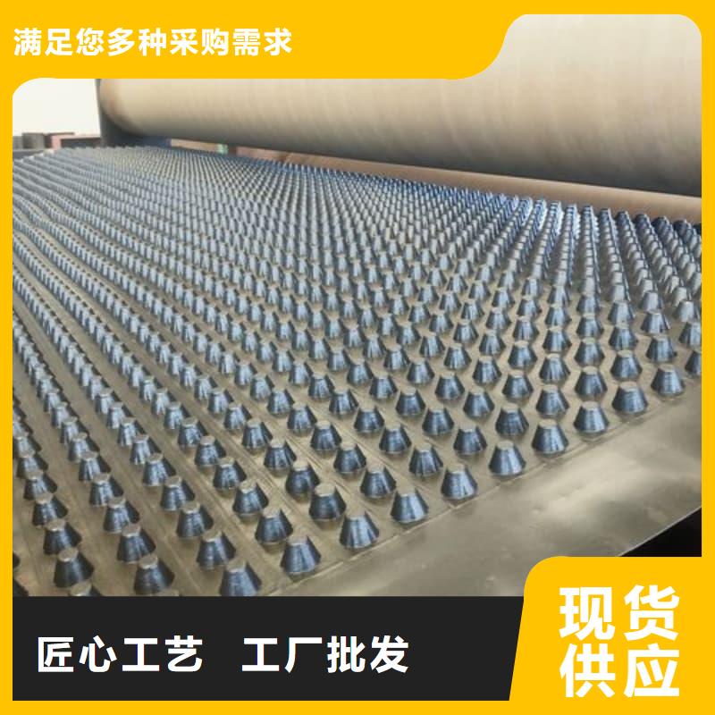 排水板30mm厚排水板实力公司