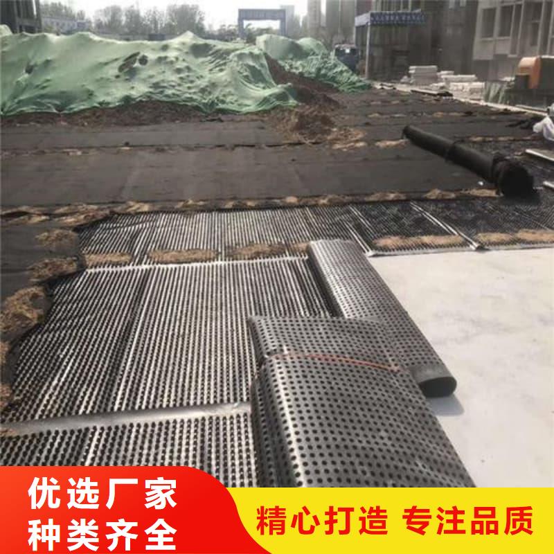 排水板-40mm厚疏水板当日价格