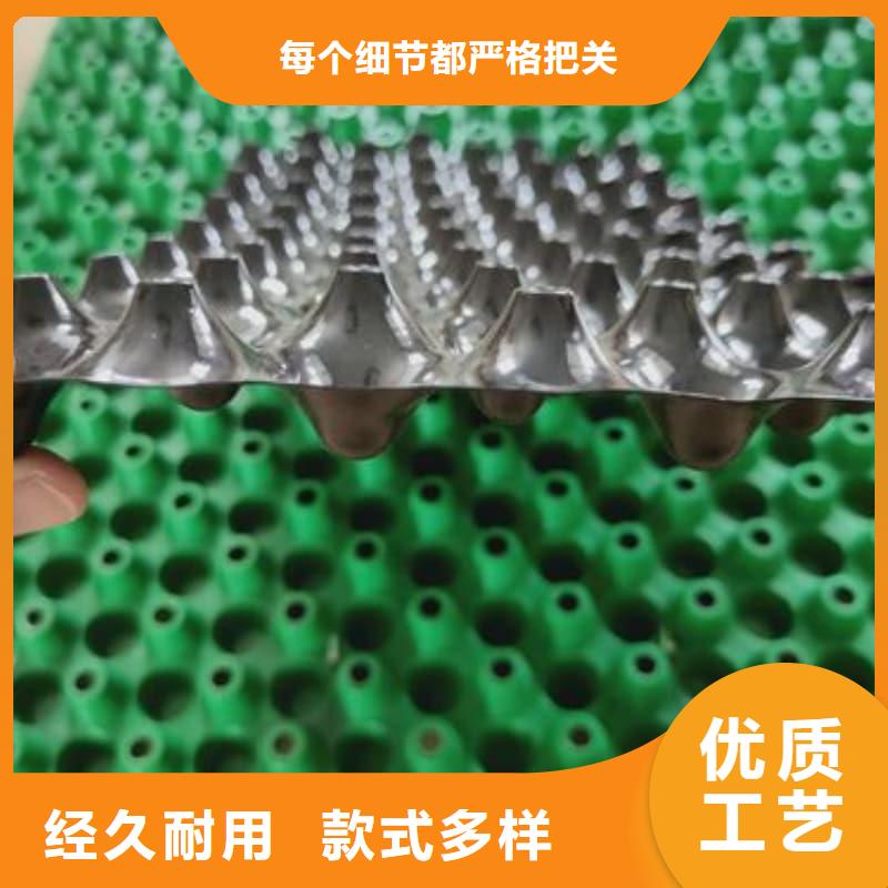 排水板,20mm厚排水板按需定做