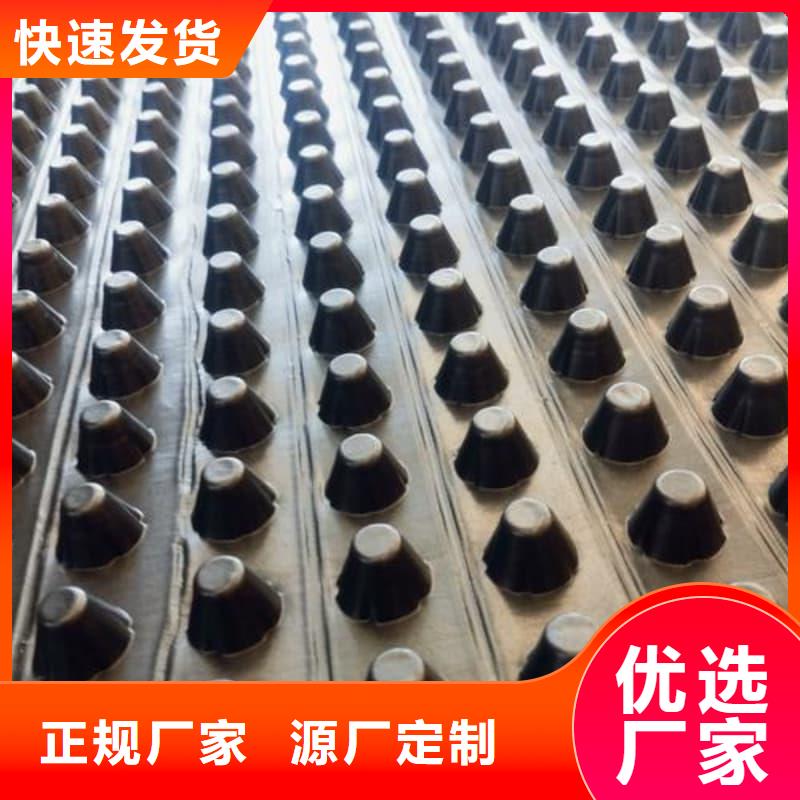 排水板50mm厚滤水板品质保证