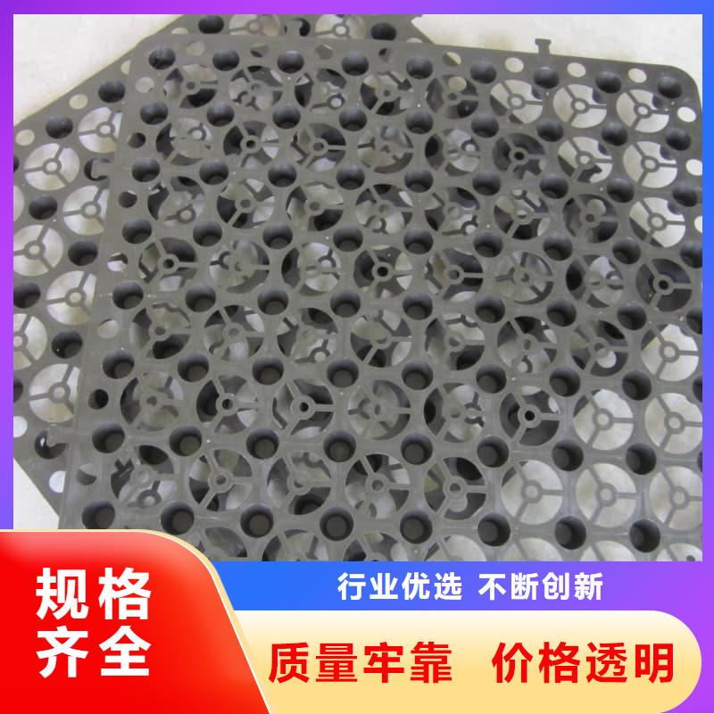 排水板,50mm厚滤水板一致好评产品