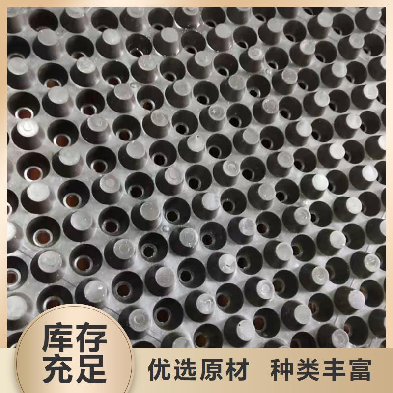 排水板30mm厚排水板实力公司