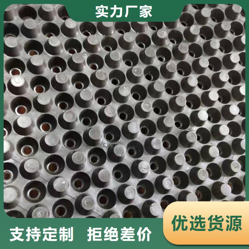 排水板-60mm厚疏水板大量现货
