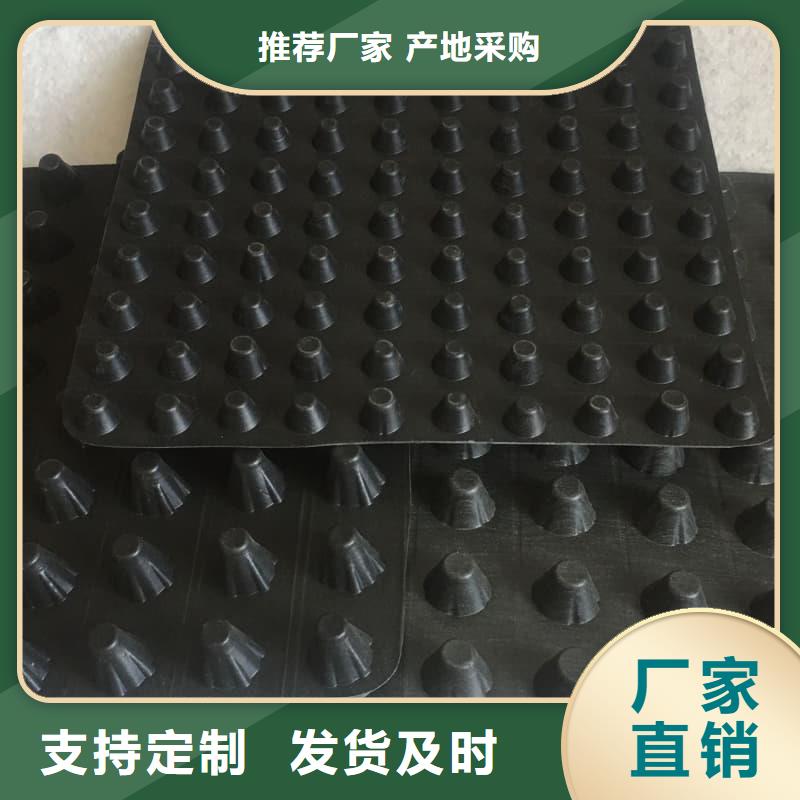 排水板50mm厚排水板工厂认证