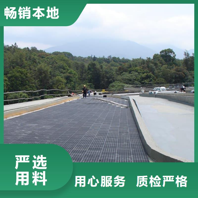 排水板排水板厂家货真价实