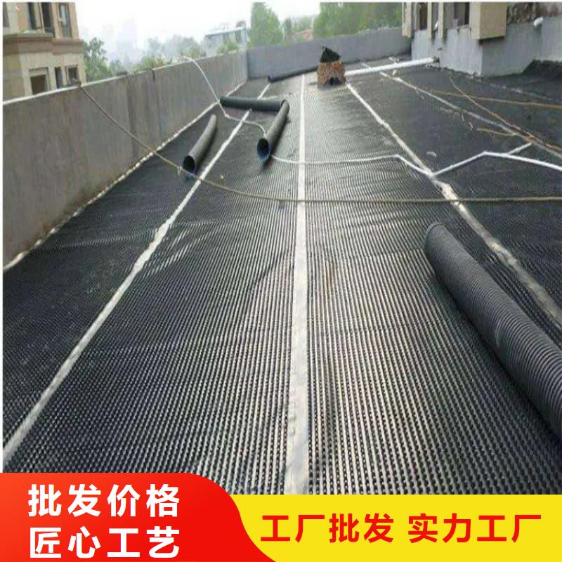 排水板,HDPE排水板源厂定制