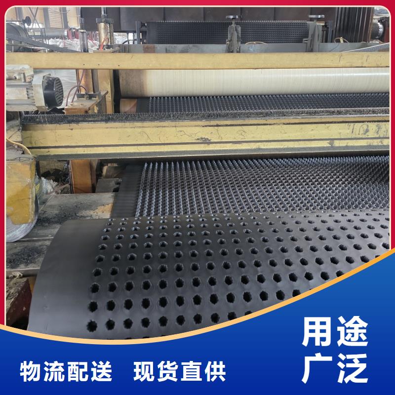 排水板40mm厚排水板专业信赖厂家