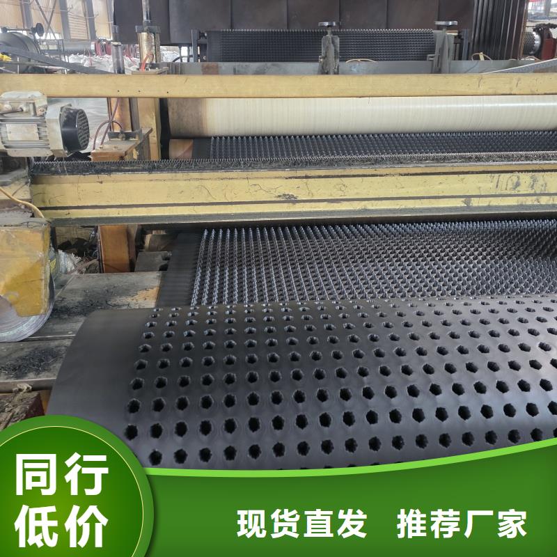 排水板50mm厚滤水板源头把关放心选购