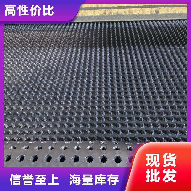 排水板20mm厚排水板发货及时