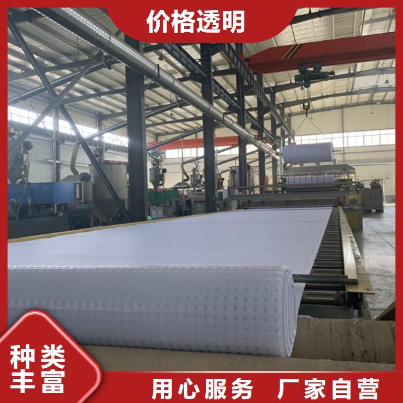 排水板60mm厚滤水板实拍展现