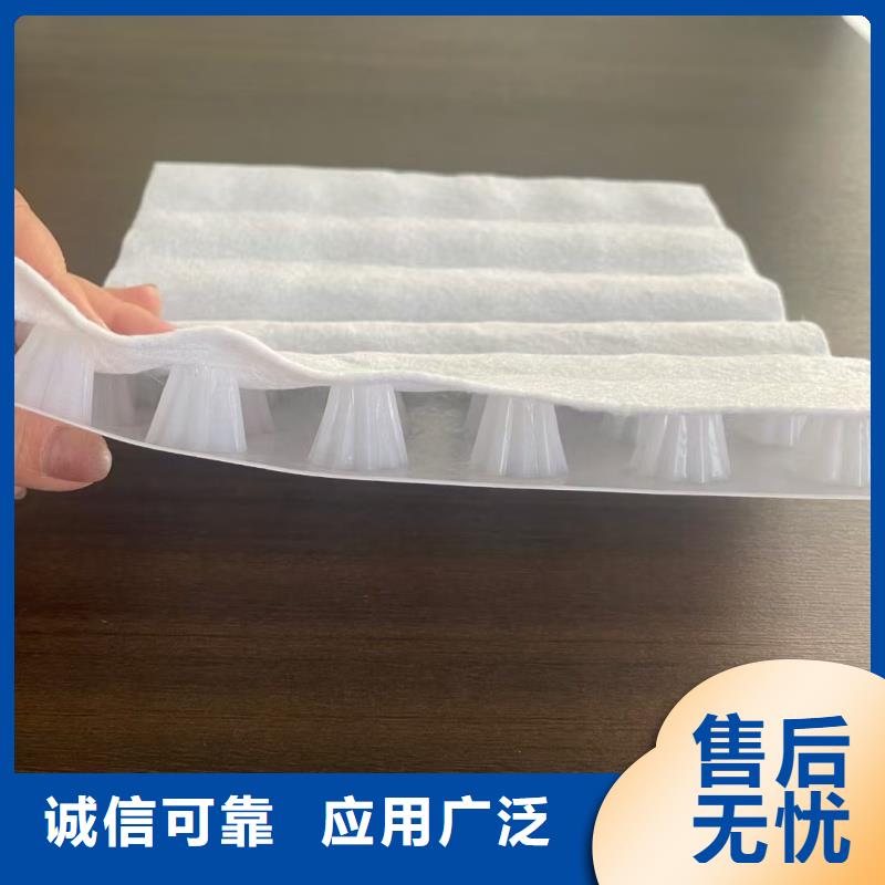 排水板HDPE排水板价格实惠