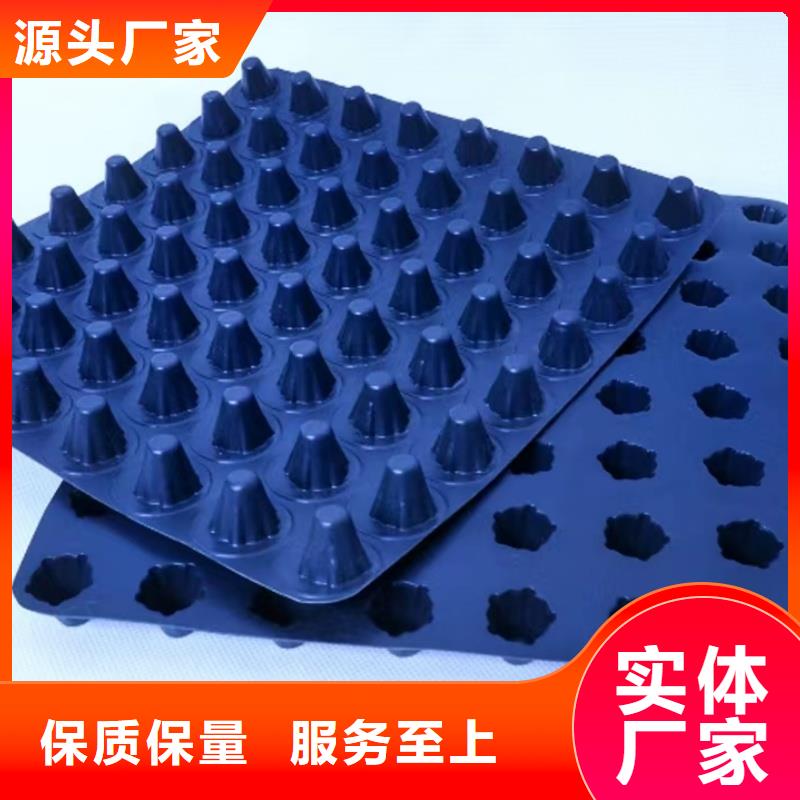 排水板排水板厂家货真价实