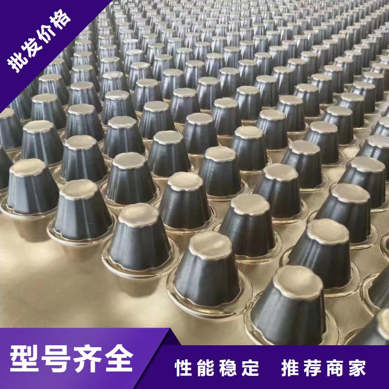 排水板塑料滤水板真材实料加工定制