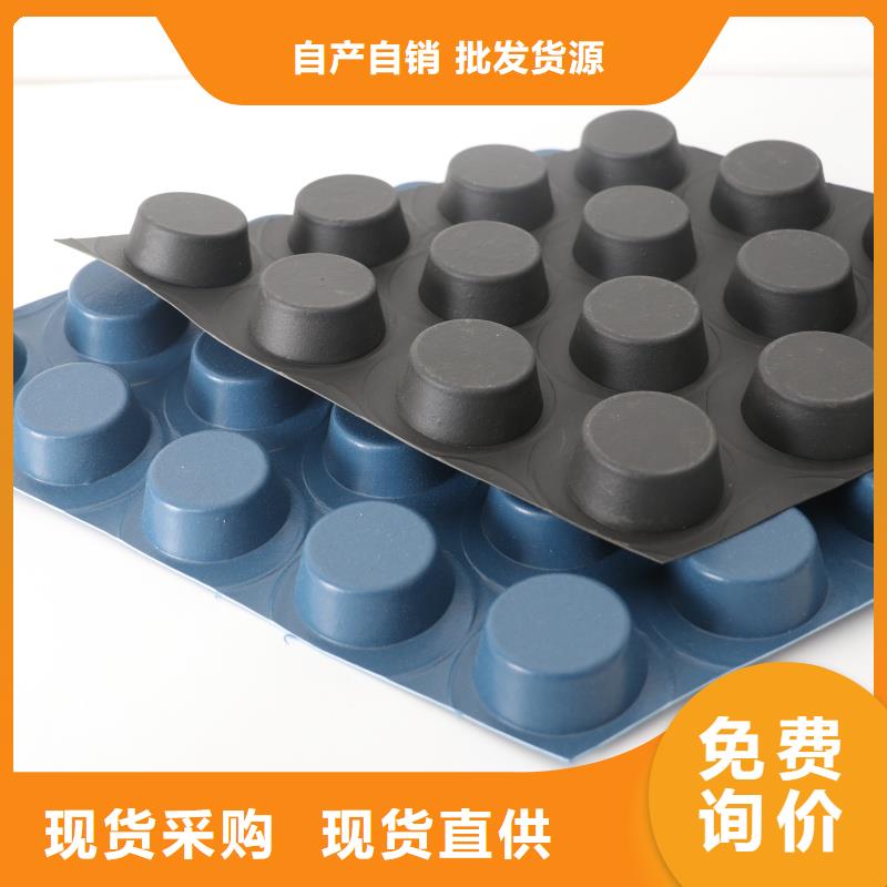 排水板40mm厚排水板厂家货源