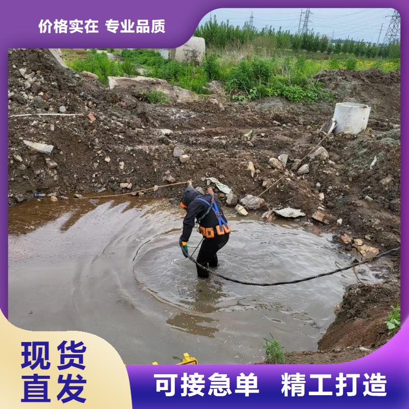 蛙人潜水公司团队协作