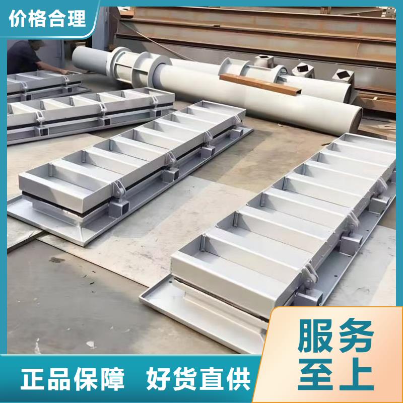 冲洗系统闸门厂家直供