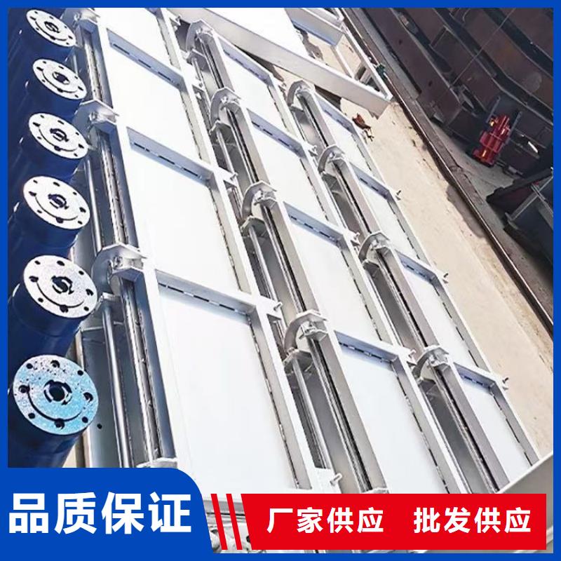 瑞鑫水工机械有限公司水利拦蓄设备冲洗门可按时交货