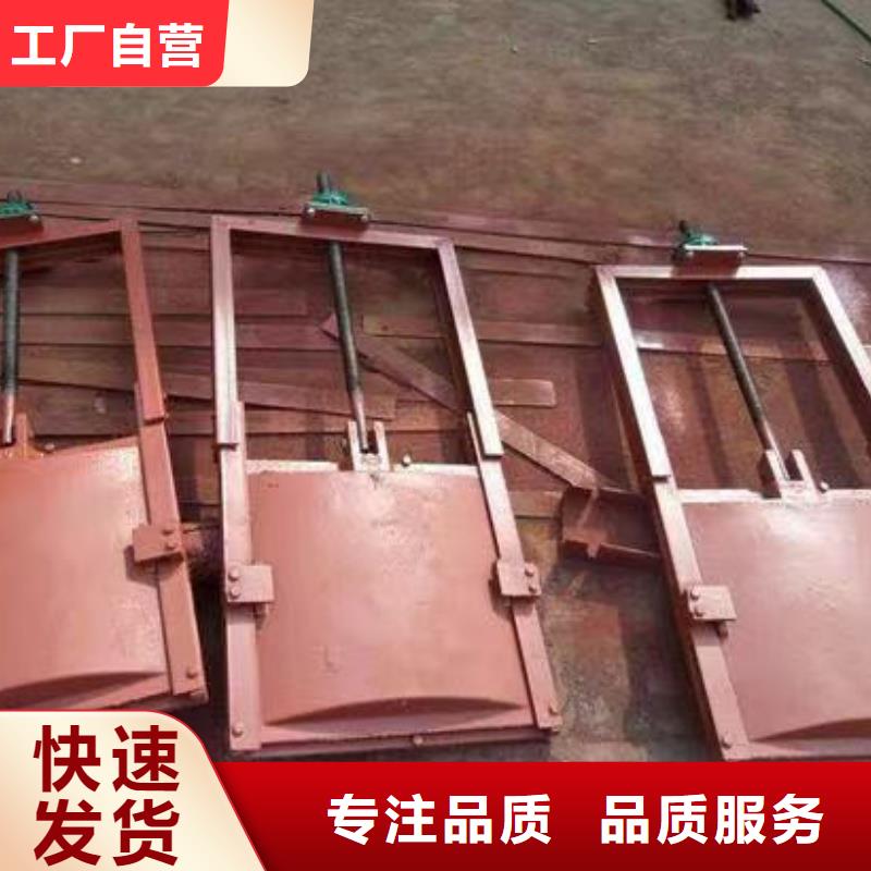 河道铸铁闸门源头直供