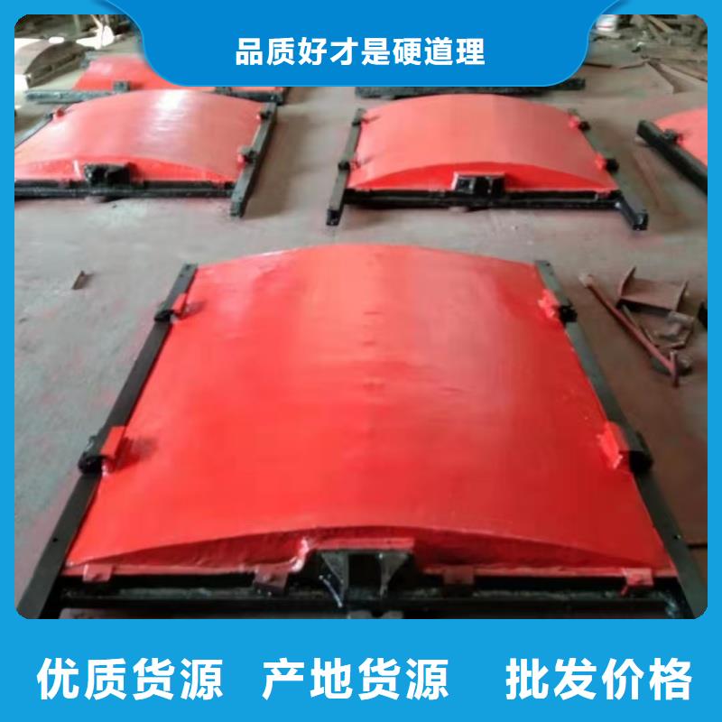 铸铁钢制闸门可按需定制