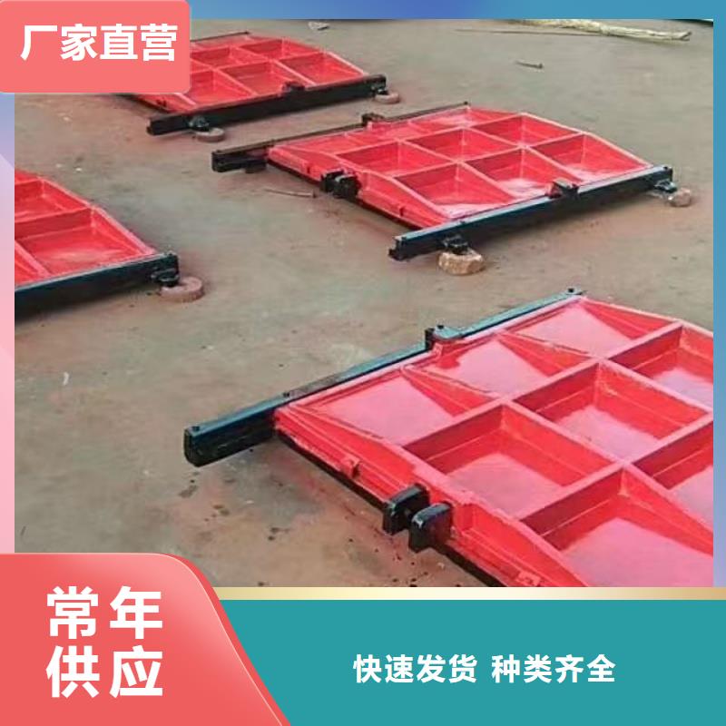 ZMF 铸铁镶铜方闸门污水厂适配