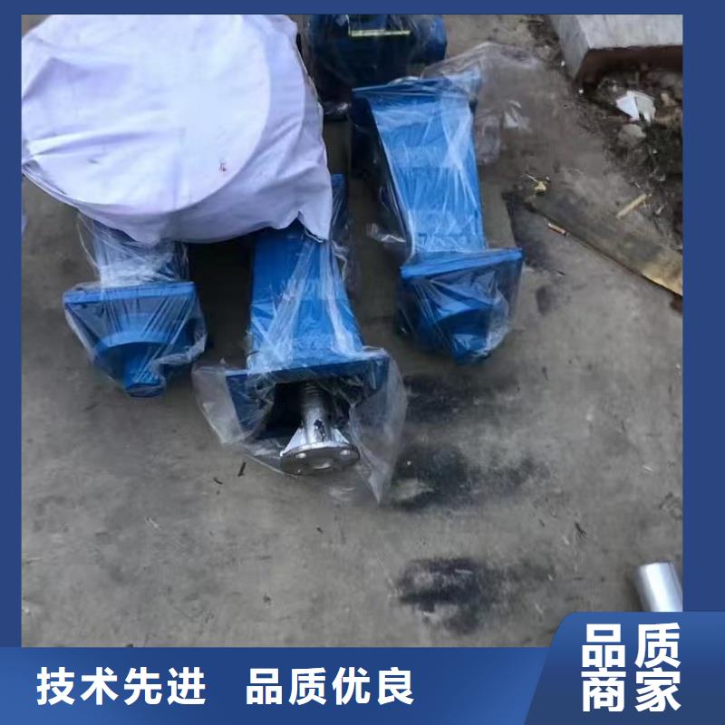 镶铜铸铁闸门厂家批发