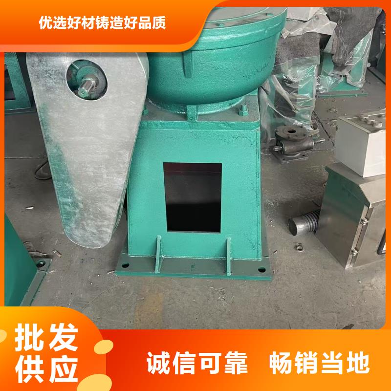 双向铸铁闸门品质抽检合格