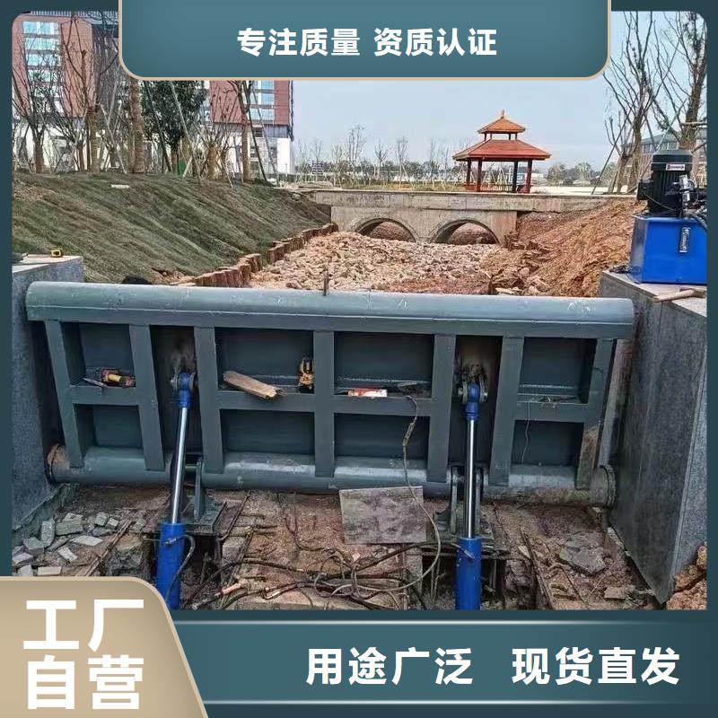 翻板闸门生产厂家