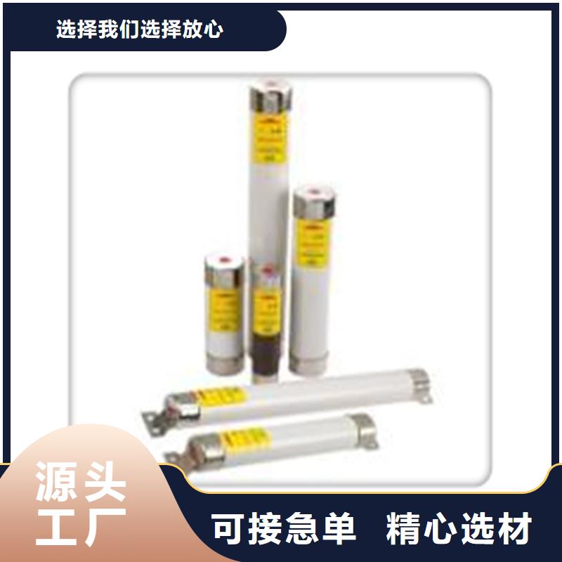 XRNT1-10/160A限流熔断器