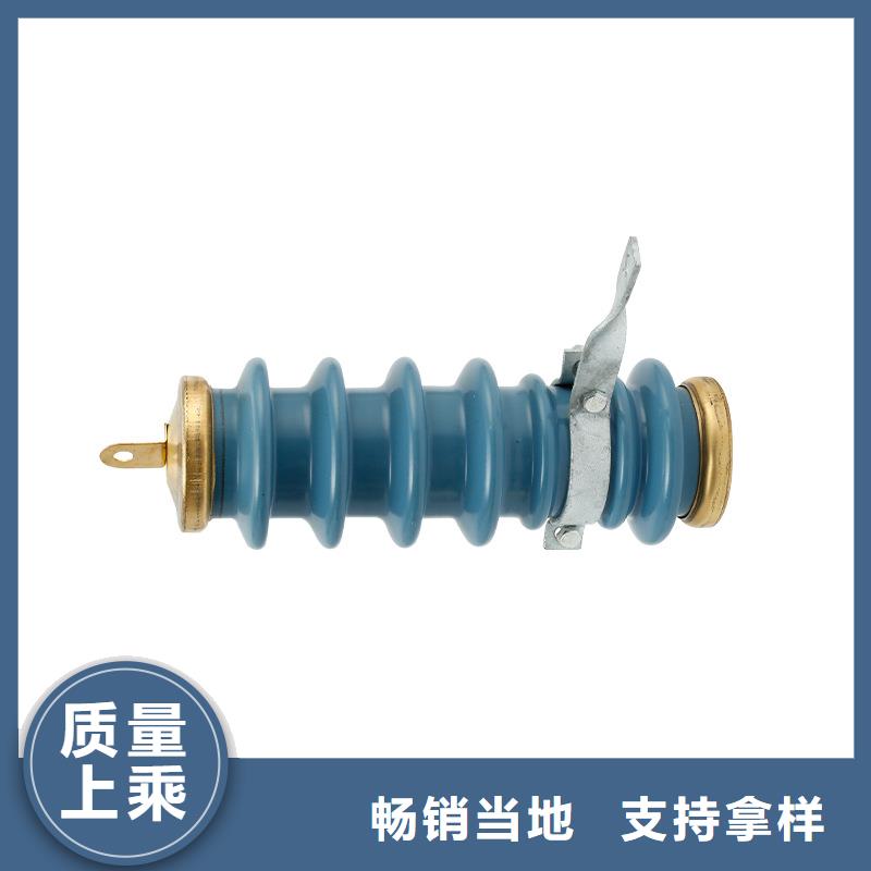 HY5WD-17/45电机型避雷器