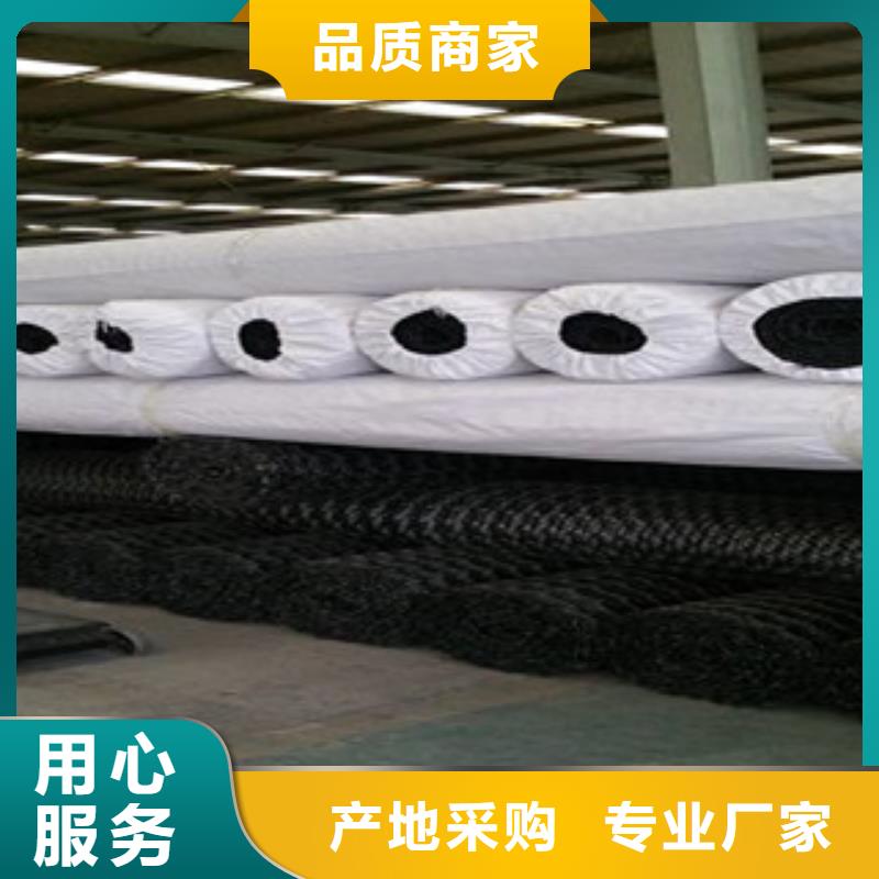 双向塑料格栅,塑料土工格栅厂家直销规格多样