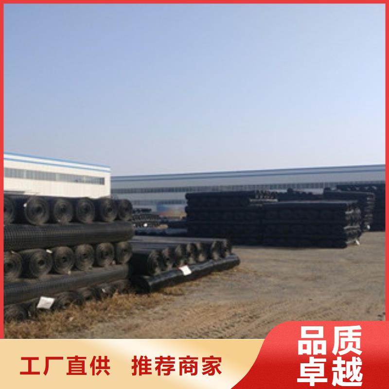 双向塑料格栅,塑料土工格栅厂家直销规格多样